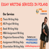 Essay Writing Service In Poland